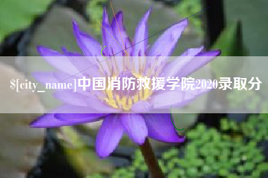 无为中国消防救援学院2020录取分