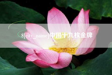 无为中国十九枚金牌