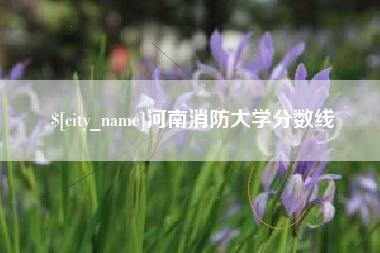 无为河南消防大学分数线