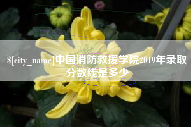 无为中国消防救援学院2019年录取分数线是多少