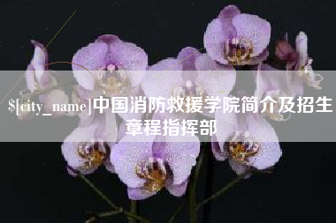 无为中国消防救援学院简介及招生章程指挥部