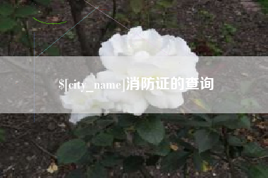 无为消防证的查询
