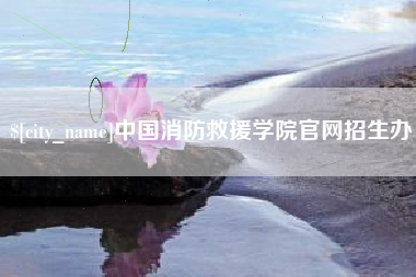 无为中国消防救援学院官网招生办