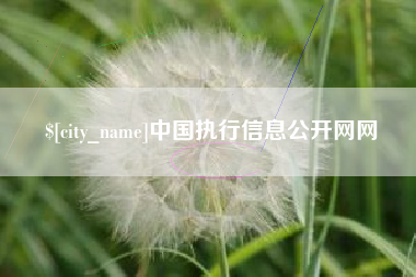 无为中国执行信息公开网网