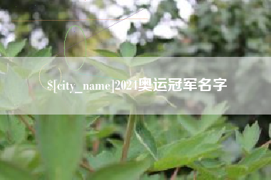 无为2024奥运冠军名字