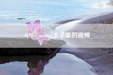 无为王子豪的视频