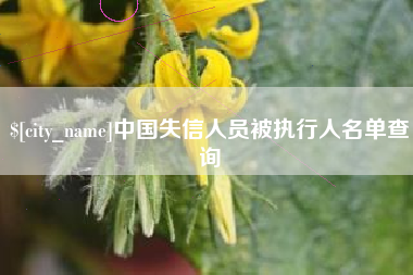 无为中国失信人员被执行人名单查询