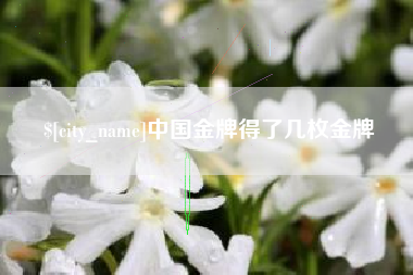 无为中国金牌得了几枚金牌