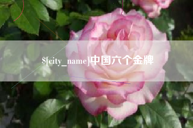 无为中国六个金牌