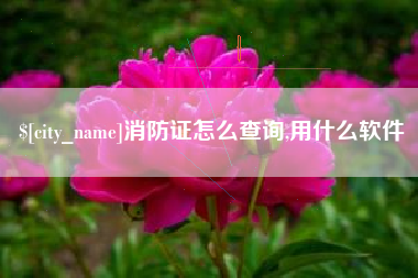 无为消防证怎么查询,用什么软件