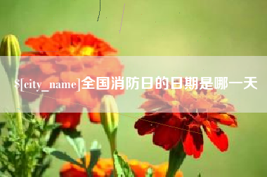 无为全国消防日的日期是哪一天