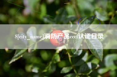 无为消防产品cccf认证目录