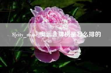 无为奥运金牌榜是怎么排的