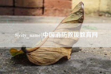 无为中国消防救援教育网