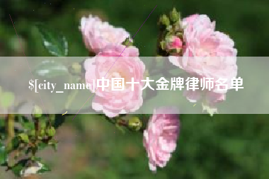 无为中国十大金牌律师名单