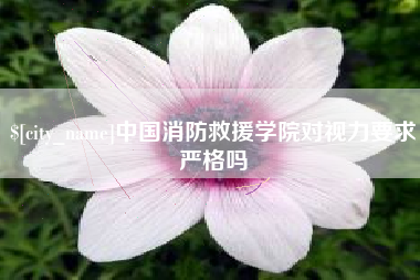无为中国消防救援学院对视力要求严格吗