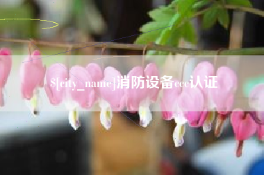 无为消防设备ccc认证