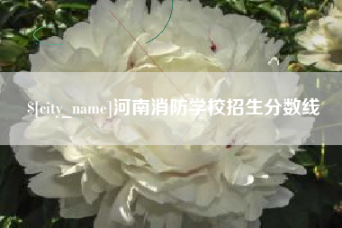 无为河南消防学校招生分数线