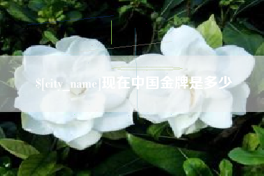 无为现在中国金牌是多少