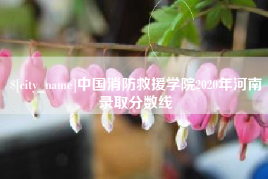 无为中国消防救援学院2020年河南录取分数线
