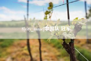 无为中国队 冠军