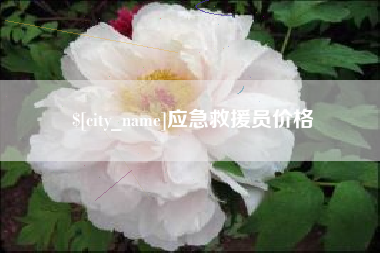 无为应急救援员价格