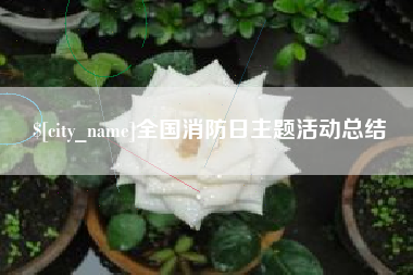 无为全国消防日主题活动总结