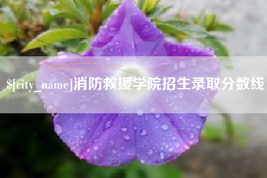 无为消防救援学院招生录取分数线