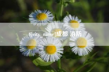 无为成都 消防