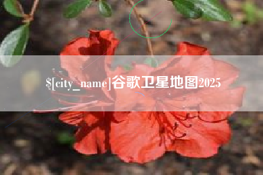 无为谷歌卫星地图2025