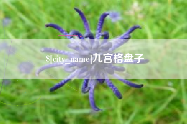 无为九宫格盘子