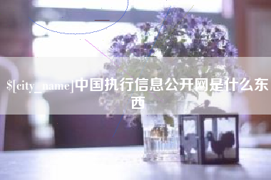 无为中国执行信息公开网是什么东西