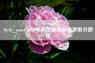 无为2021年中国消防学院录取分数线