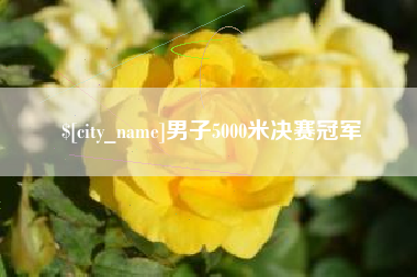 无为男子5000米决赛冠军
