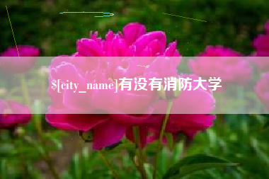 无为有没有消防大学