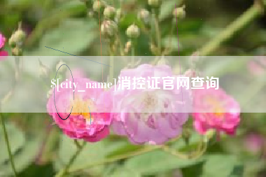 无为消控证官网查询