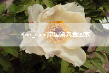 无为中国第九金回放