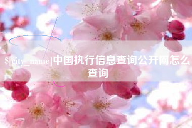 无为中国执行信息查询公开网怎么查询