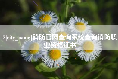 无为消防官网查询系统查询消防职业资格证书