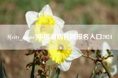 无为中国消防官网报名入口2024