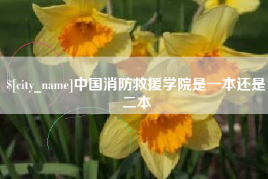 无为中国消防救援学院是一本还是二本