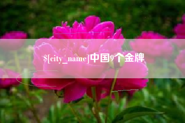 无为中国9个金牌