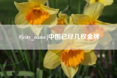 无为中国已经几枚金牌