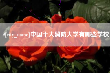 无为中国十大消防大学有哪些学校