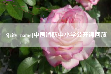 无为中国消防中小学公开课回放