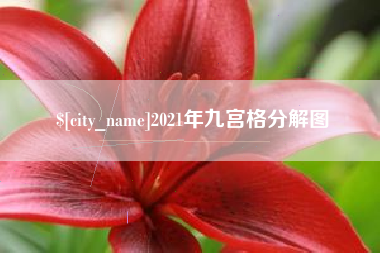 无为2021年九宫格分解图