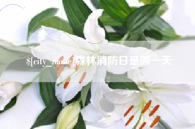 无为森林消防日是哪一天