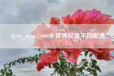 无为5000米世界纪录平均配速