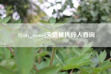 无为失信被执行人杳询