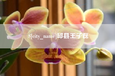 无为邱县王子磊